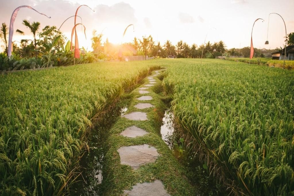 The Runik Ubud Exterior photo